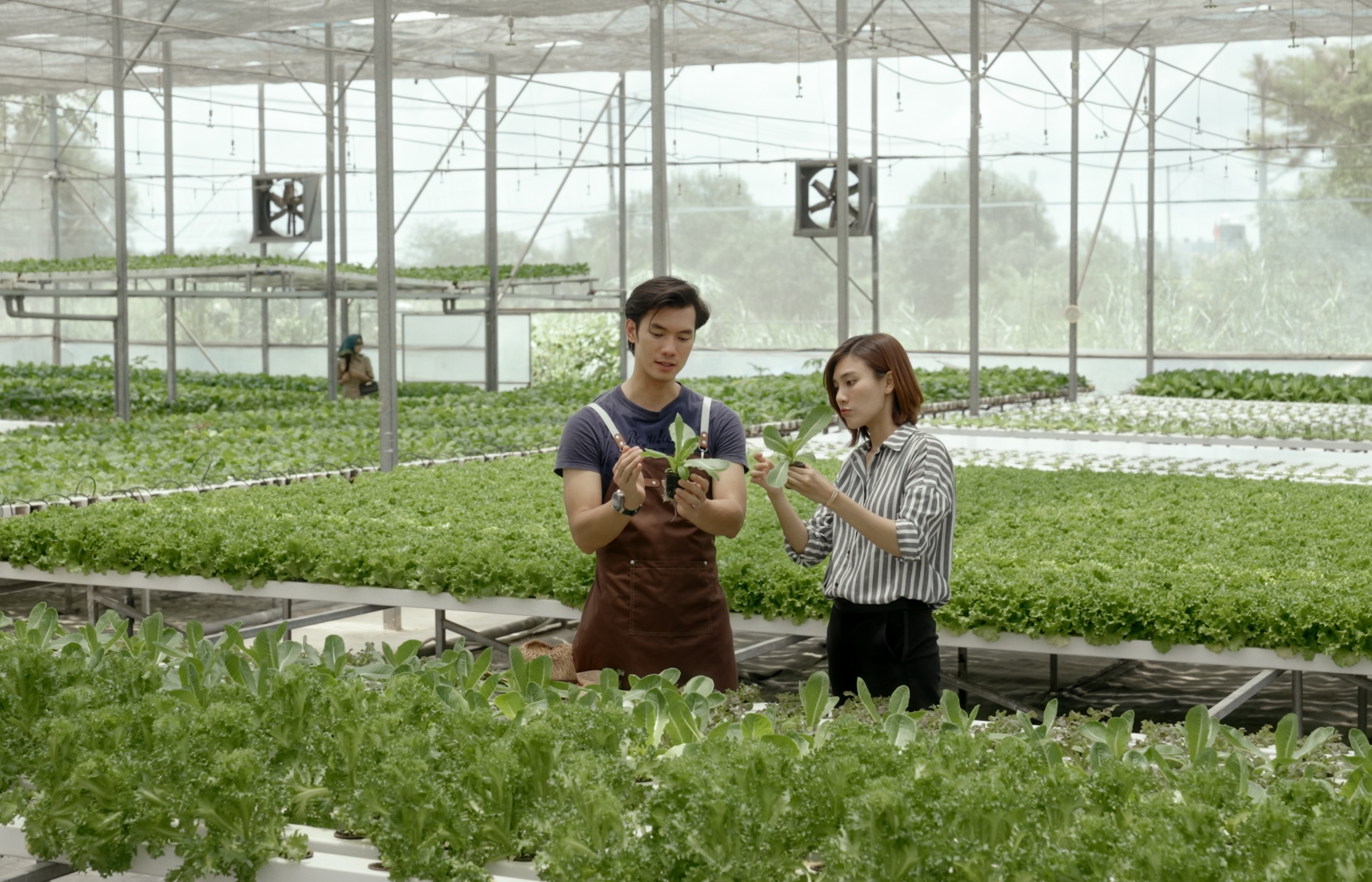 Nhan Phúc Vinh, Thân Thúy Hà cùng ê-kip 'Duyên' giành giải C của Hội Điện ảnh TP. HCM