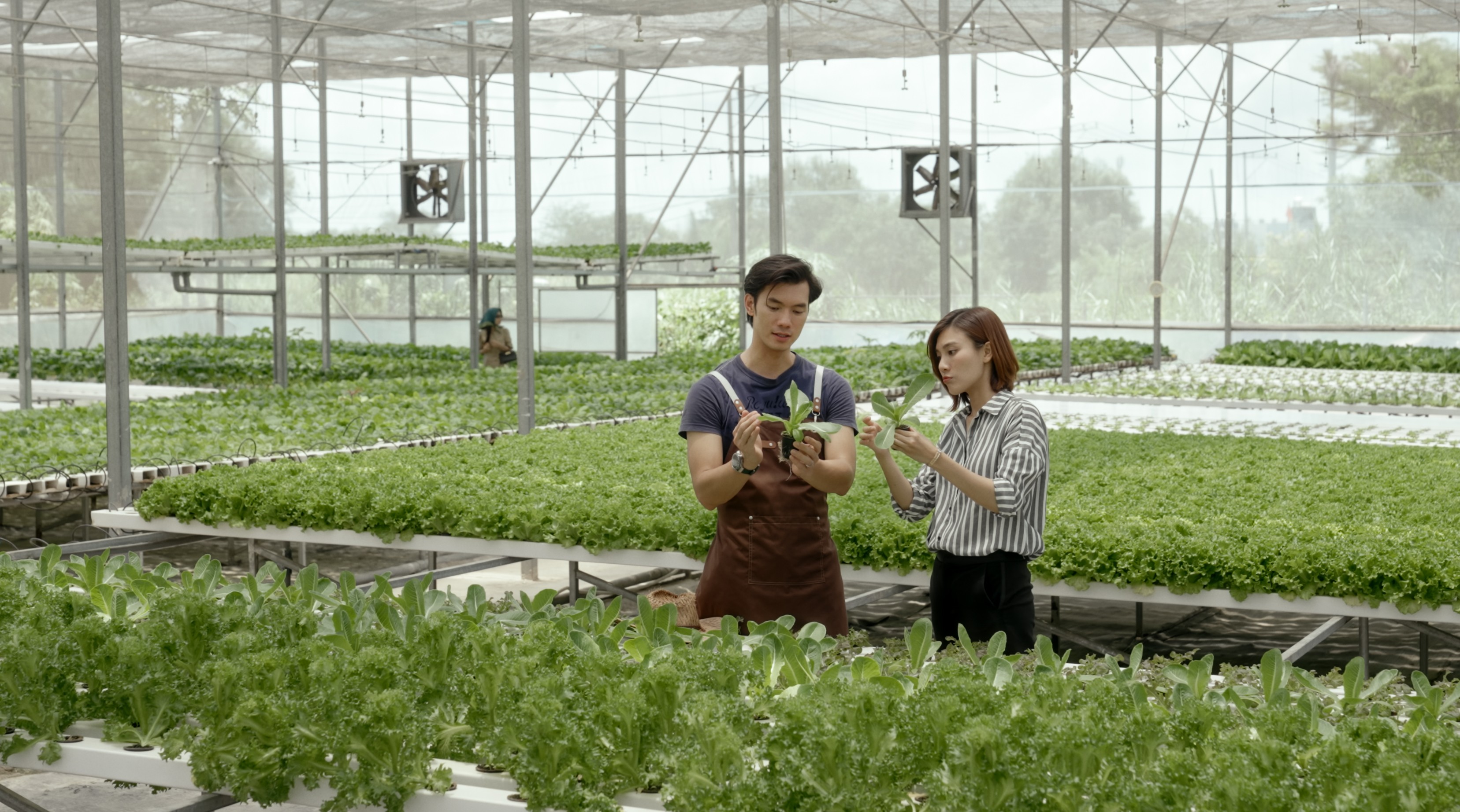 Nhan Phúc Vinh, Thân Thúy Hà cùng ê-kip 'Duyên' giành giải C của Hội Điện ảnh TP. HCM