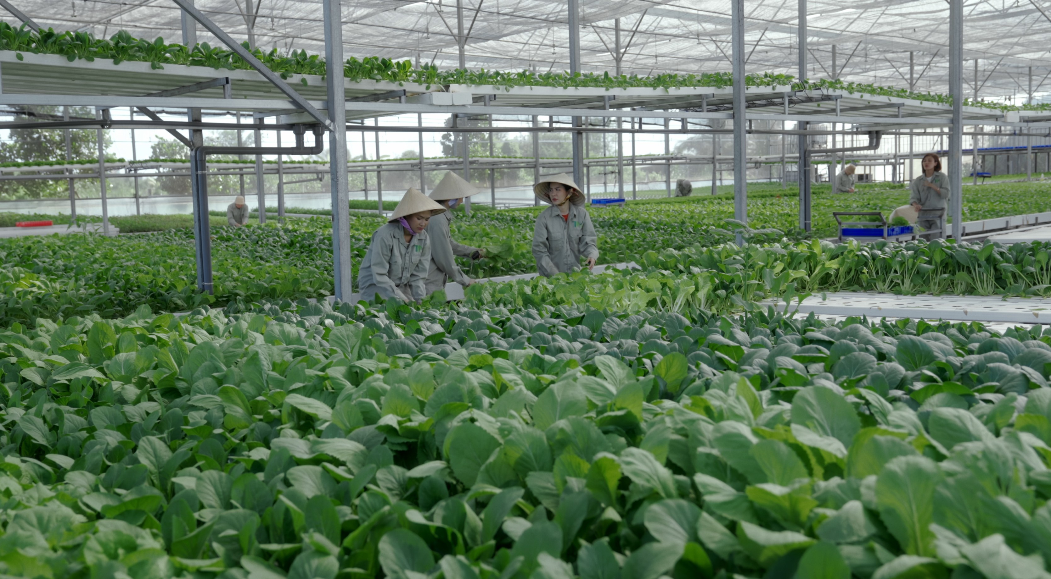 Nhan Phúc Vinh, Thân Thúy Hà cùng ê-kip 'Duyên' giành giải C của Hội Điện ảnh TP. HCM