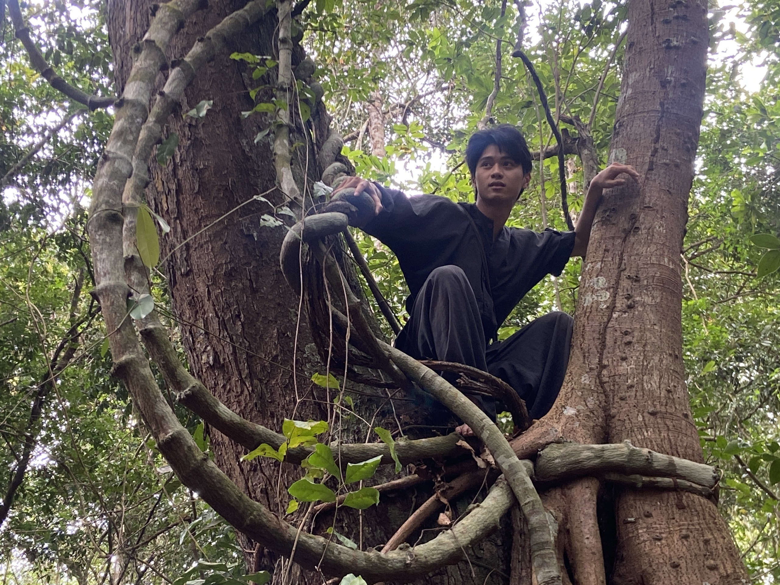 Năm 2026, Công ty Cổ phần Phim Giải Phóng bước vào giai đoạn phát triển mới trong hoạt động sản xuất phim