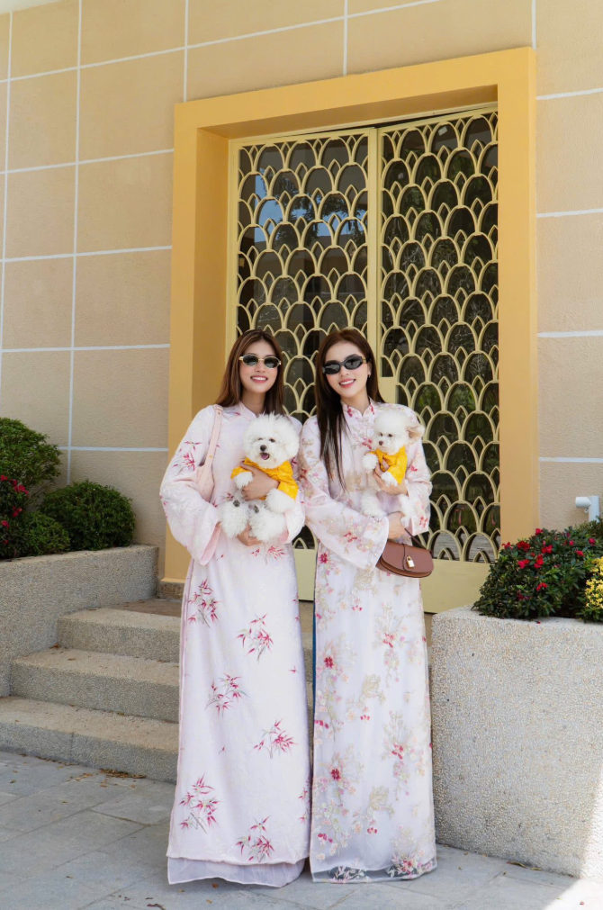 Dàn sao Việt rộn ràng đón Tết Bính Ngọ 2026 Dàn sao Việt rộn ràng đón Tết Bính Ngọ 2026