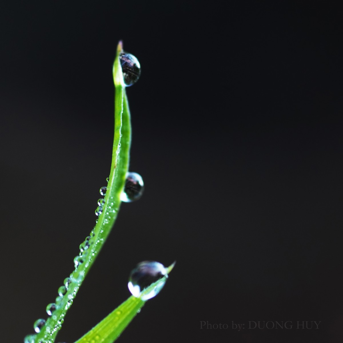 Triển lãm ảnh nghệ thuật 'Sương' - Dấu ấn trong trẻo của đạo diễn Dương Huy