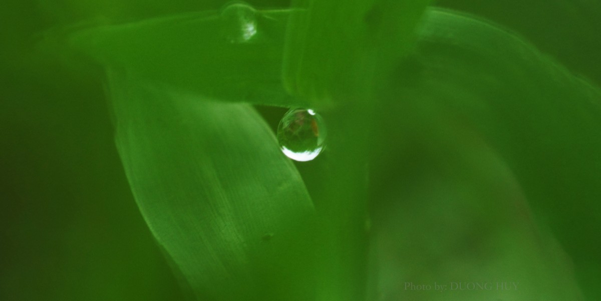 Triển lãm ảnh nghệ thuật 'Sương' - Dấu ấn trong trẻo của đạo diễn Dương Huy