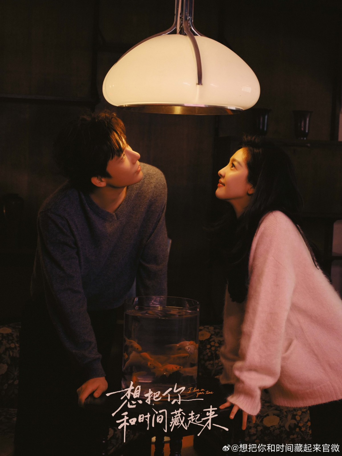 Chương Nhược Nam, Vương An Vũ ‘nên duyên’, cuộc tranh luận phiên vị ‘dậy sóng’