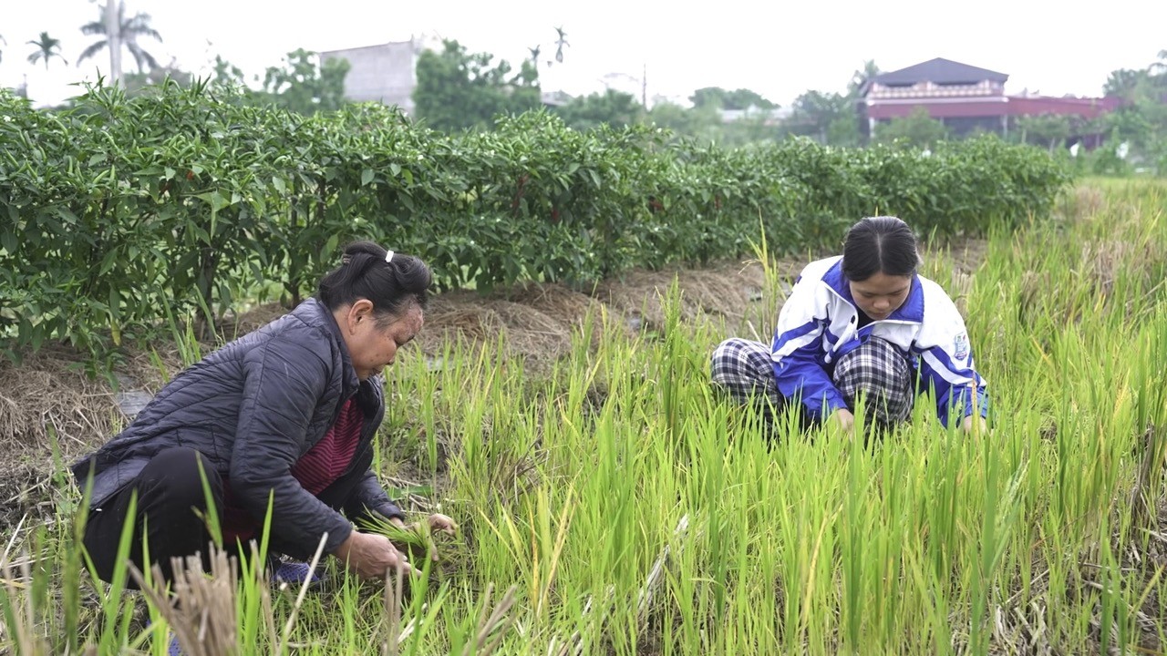 'Mái ấm gia đình Việt': Những em nhỏ sớm trưởng thành vì hoàn cảnh khó khăn khiến Minh Dự, Đỗ Thị Hà đau lòng