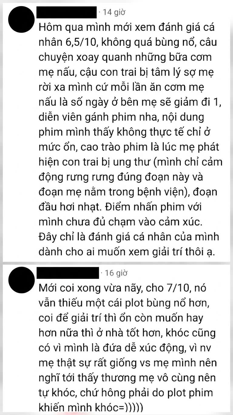 'Đếm ngày xa mẹ' khiến khán giả Việt dậy sóng ra sao?