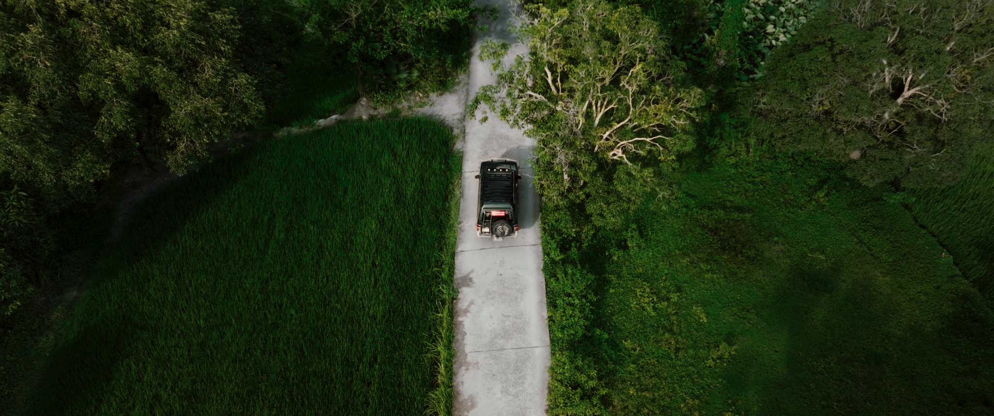 Nam thần Trần Ngọc Vàng gây sốc trong 'Heo năm móng'