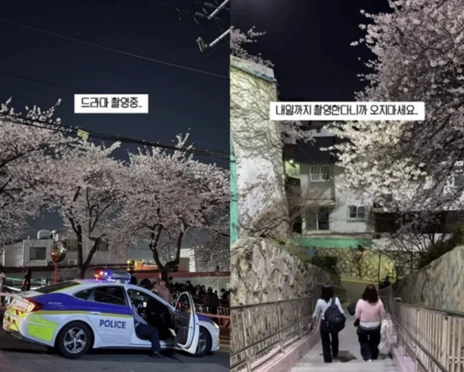 Netflix Hàn Quốc xin lỗi vì quay phim làm phiền người dân