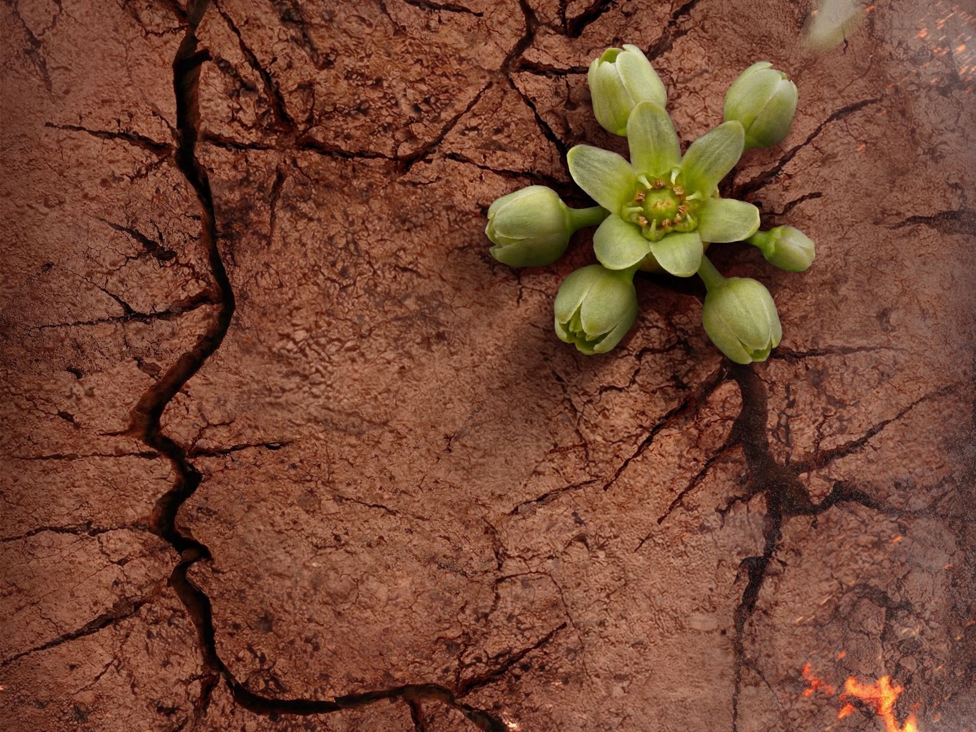 'Đất Đỏ': Huyền thoại Võ Thị Sáu trở lại màn ảnh sau hơn 30 năm - Kỷ niệm 75 năm ngày mất của nữ anh hùng