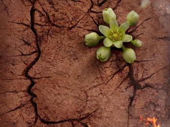 'Đất Đỏ': Huyền thoại Võ Thị Sáu trở lại màn ảnh sau hơn 30 năm - Kỷ niệm 75 năm ngày mất của nữ anh hùng