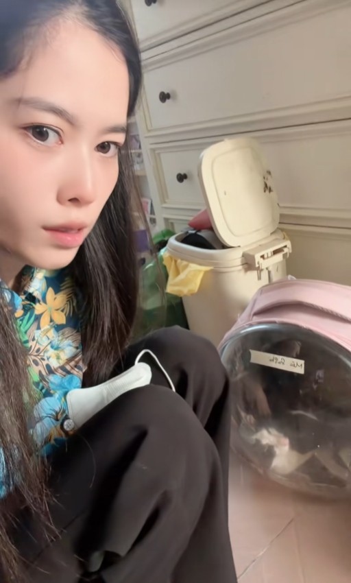 Nam Em khiến cộng đồng mạng phẫn nộ khi kể chuyện nhốt mèo trong balo suốt 8 tiếng, đến lúc thả ra thì mèo đã cứng ngắt