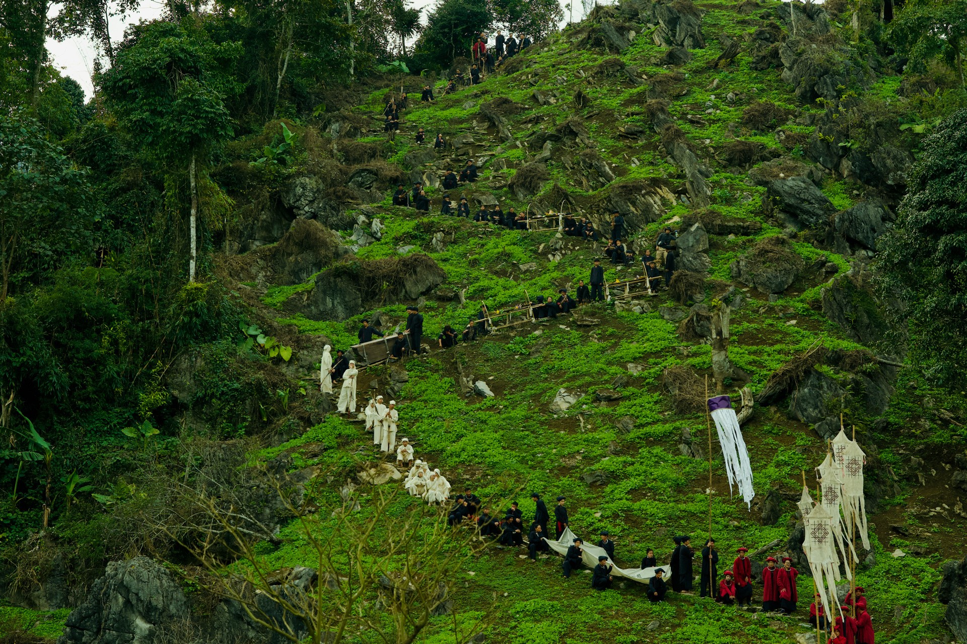 'Phí Phông: Quỷ máu rừng thiêng': Phim kinh dị đạt mốc 100 tỷ đồng nhanh nhất mọi thời đại tại Việt Nam