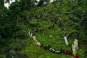 'Phí Phông: Quỷ máu rừng thiêng': Phim kinh dị đạt mốc 100 tỷ đồng nhanh nhất mọi thời đại tại Việt Nam