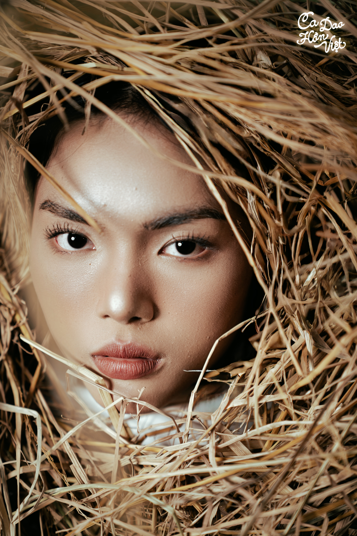 ‘Tìm ngọc’: Bộ ảnh kết nối ngôn ngữ dân gian với hiện đại