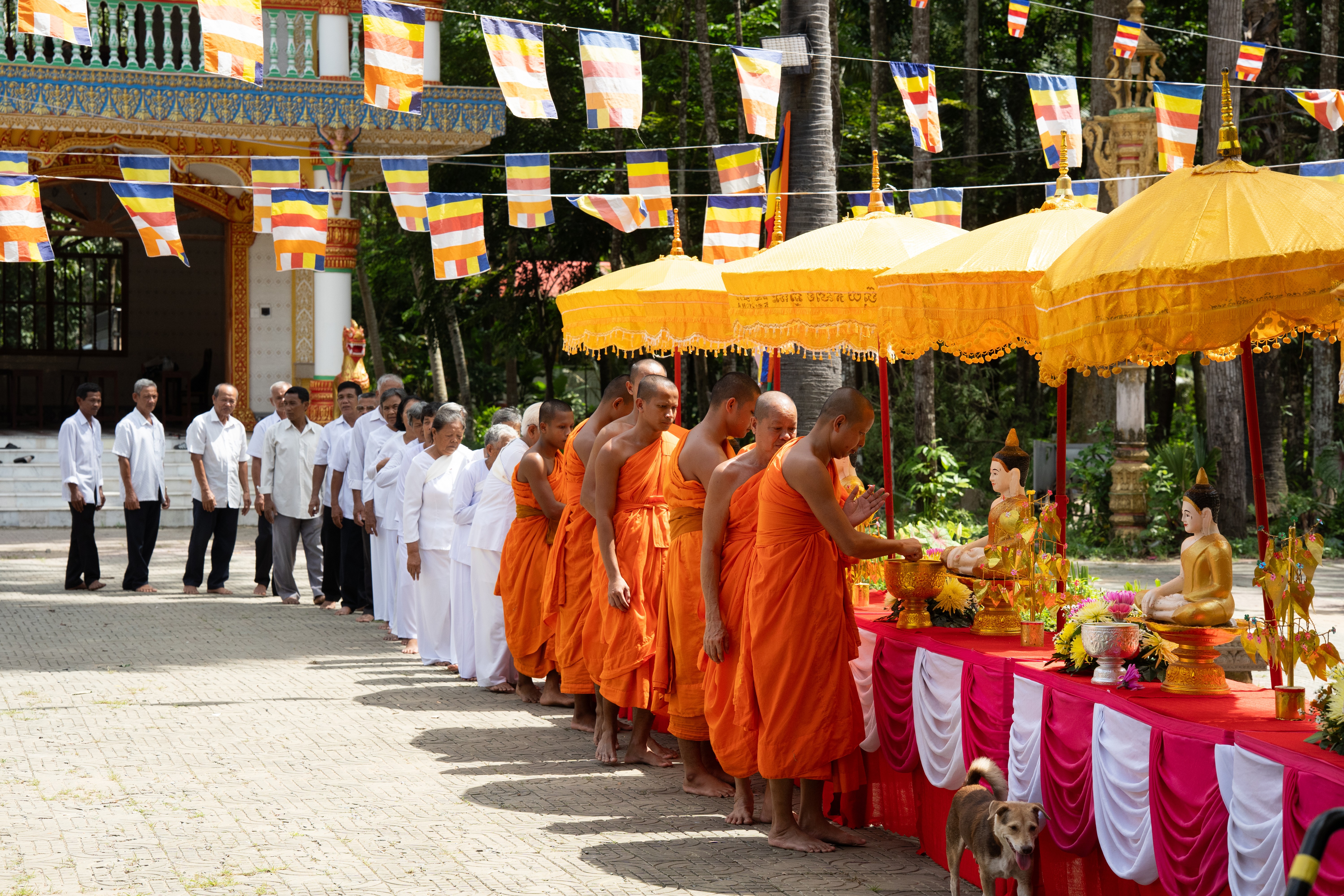 Lý do 'Heo năm móng' đạt Top 1 phòng vé điện ảnh mùa lễ 30/4?