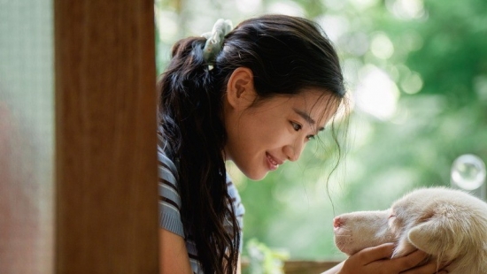 'Cú nổ lớn' của  'màn ảnh Thái Lan' chiếu tại Việt Nam