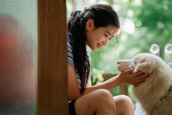 'Cú nổ lớn' của  'màn ảnh Thái Lan' chiếu tại Việt Nam
