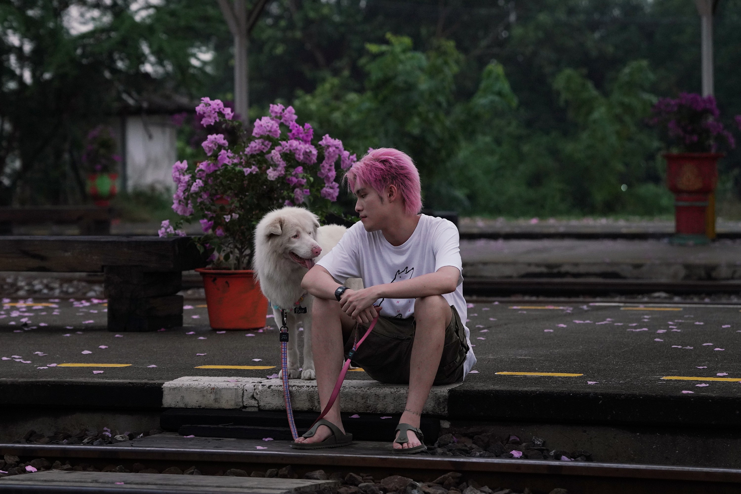 Tình bạn lay động mọi trái tim giữa người và thú cưng trong 'Tạm biệt Gohan'