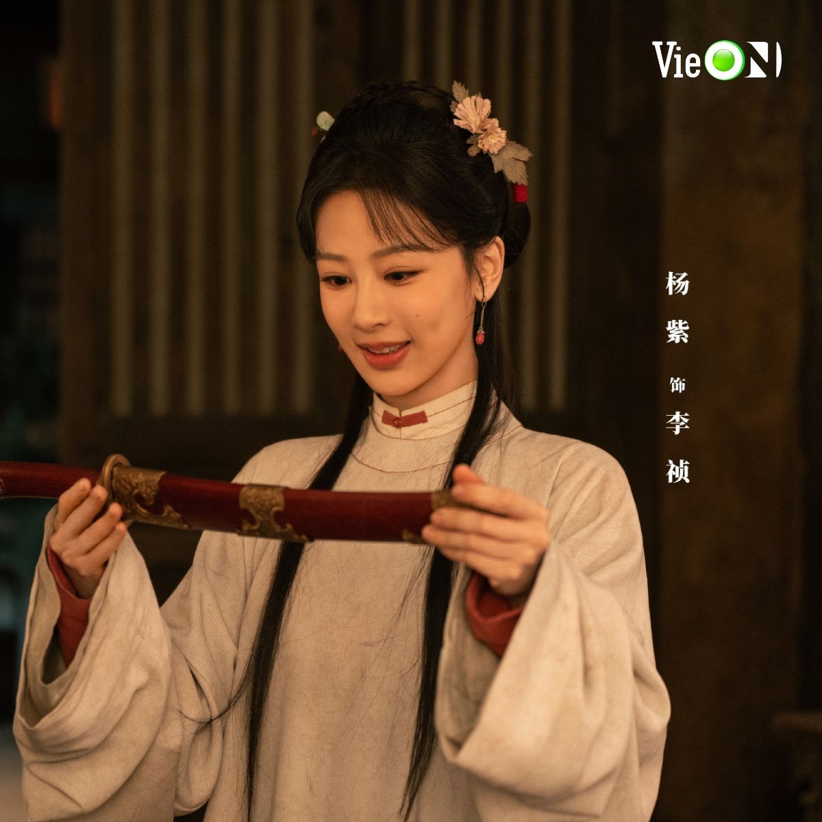Phim của Dương Tử có 'lội ngược dòng' trước sức nóng của Lưu Hạo Tồn?