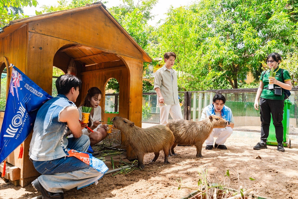 Steven Nguyễn, Ninh Dương Story, Hoa hậu Lê Hoàng Phương gây bất ngờ khi lần đầu làm hướng dẫn viên du lịch cho 'Wow Ho Chi Minh City'
