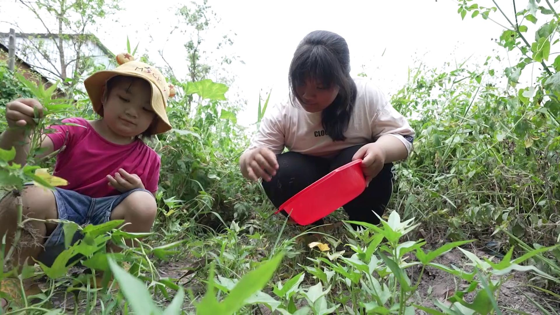'Mái ấm gia đình Việt': Đại Nghĩa cùng Song Luân, Anh Tú bán bánh gây quỹ tặng trẻ em có hoàn cảnh khó khăn