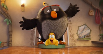 'Phim Angry Birds Movie 3' tung trailer đầu tiên, ấn định ngày ra rạp Việt dịp Tết Dương lịch 2027