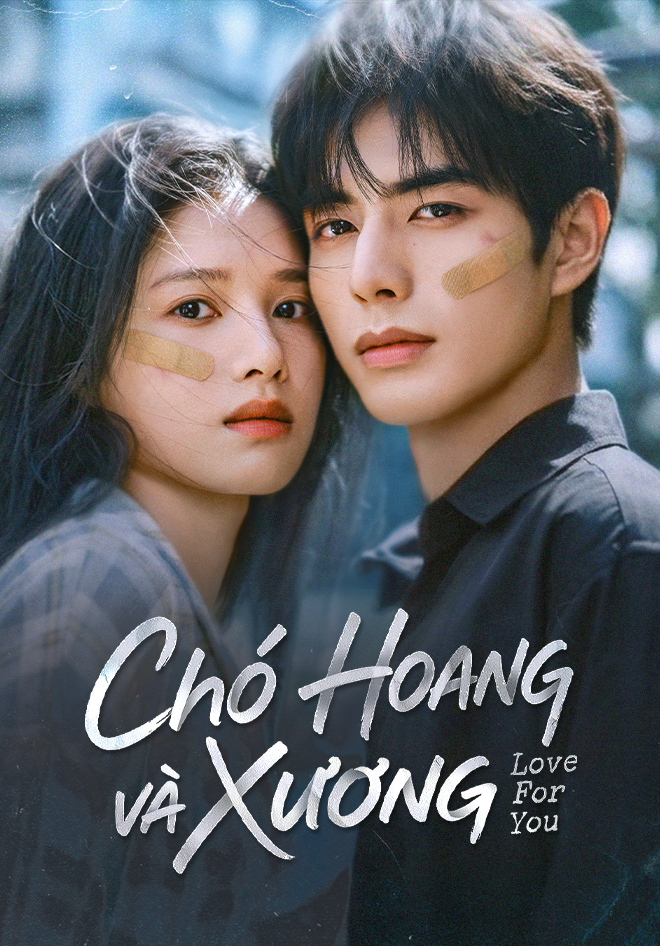 Top 5 phim Hoa ngữ hot nhất hiện nay, Tống Uy Long có tới 2 phim