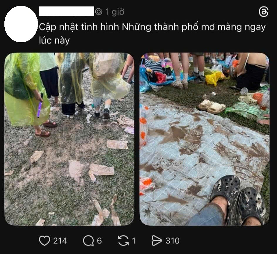 Ban tổ chức 'Những thành phố mơ màng' xin lỗi sau đêm nhạc bị gọi là 'thảm họa'