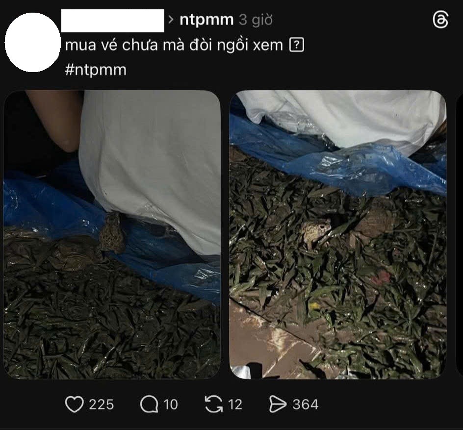 Ban tổ chức 'Những thành phố mơ màng' xin lỗi sau đêm nhạc bị gọi là 'thảm họa'