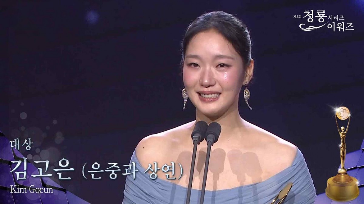 Giải thưởng truyền hình Rồng Xanh lần thứ 5: Kim Go Eun nhận giải thưởng danh giá nhất