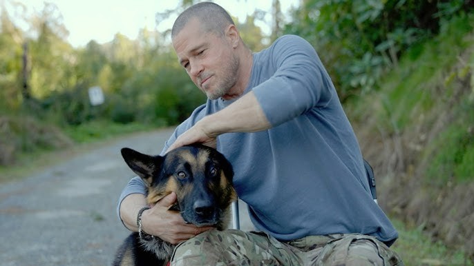 Không phải Brad Pitt, 'ngôi sao 4 chân' này mới là nhân vật khiến khán giả chú ý trong 'Trái tim quái thú'
