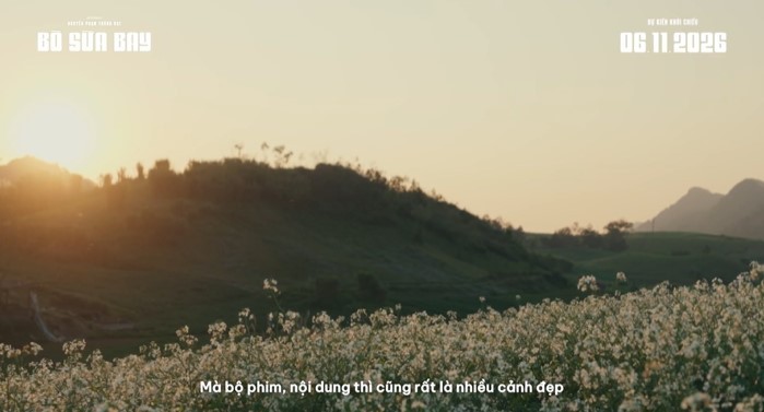 Lần đầu trong lịch sử phim Việt, 650 bò sữa casting tranh giành vai diễn trong 'Bò sữa bay'