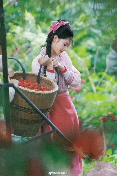 Trương Tịnh Nghi hóa cô gái hái táo gai khiến Hồ Nhất Thiên mê mệt trong 'Tích Hoa Chỉ'