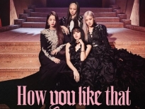 blackpink cung nhung tin don khien fan phat hoang