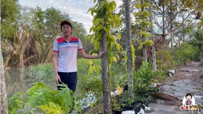 Hoài Linh khoe cây 8 tỷ ra quả, tiết lộ điều bất ngờ về mình năm mười mấy tuổi