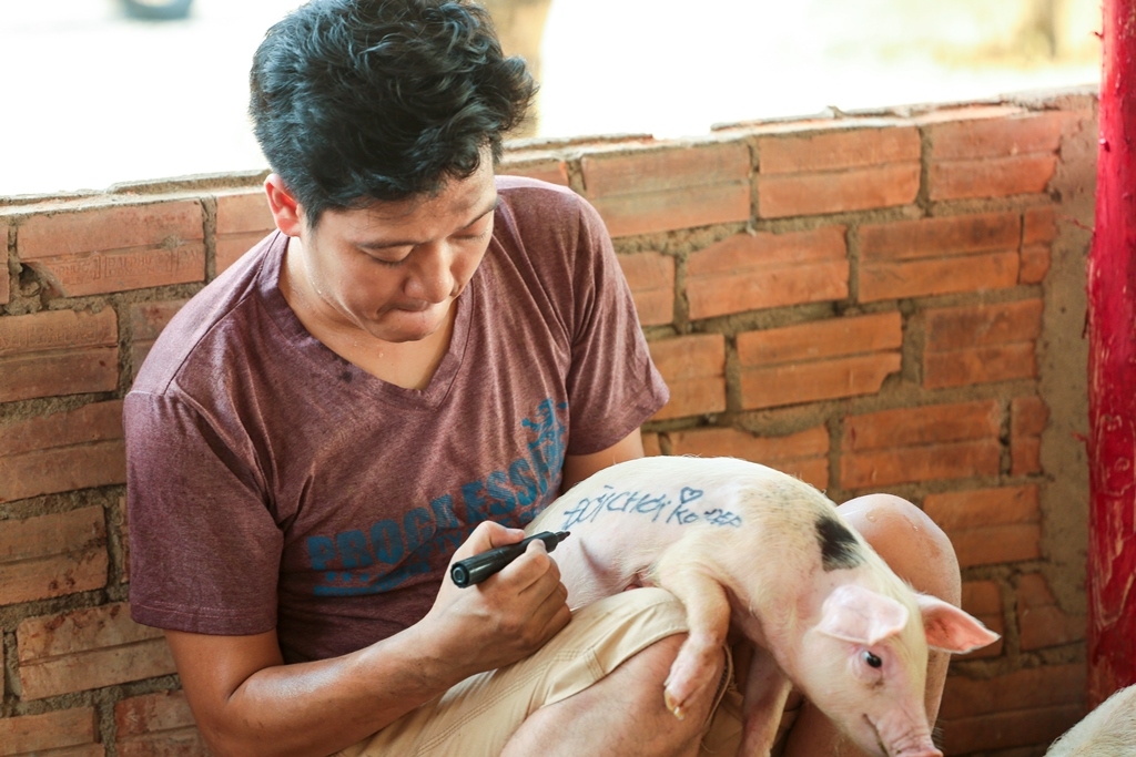 truong giang mua tet nay hay goi toi la tung heo