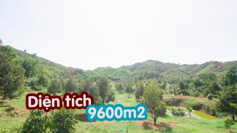 tra ngoc hang he lo nhung bi mat cuoc song voi khan gia trong vlog moi