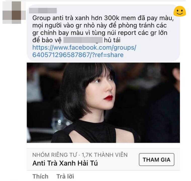 Sơn Tùng M-TP âm thầm report cá̴c group anti-fan để bảσ vệ 'trà xanh' Hải Tú giữa làn sóng tẩy chay?
