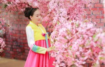 Hoa hậu Nguyễn Kim Nhung rạng rỡ trong sắc hoa anh đào