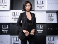'Đả nữ' Ngô Thanh Vân được vinh danh 'Người phụ nữ của năm' tại Elle Style Awards 2018