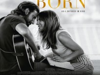 'A star is born' đạt doanh thu toàn cầu trên 350 triệu USD