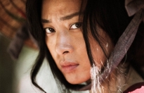 cong bo du an chim ung den dem giao thua ngo thanh van gay nao loan mua can tet