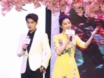 Lưu Diệc Phi và Dương Dương lộng lẫy trong buổi ra mắt phim điện ảnh 'Tam sinh tam thế thập lý đào hoa'