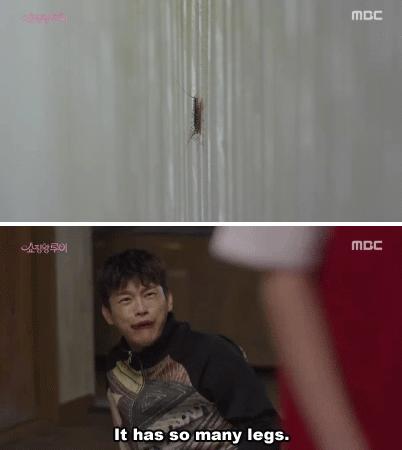 Những lí do bạn nên xem 