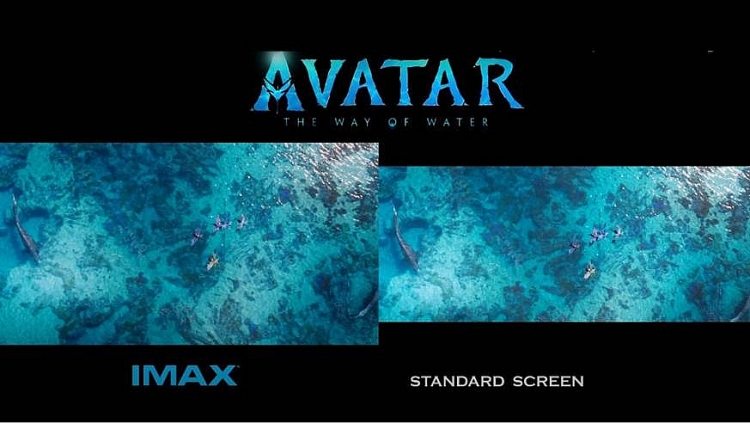 Định dạng IMAX 3D là yếu tố làm nên thành công cho 'Avatar 2'?