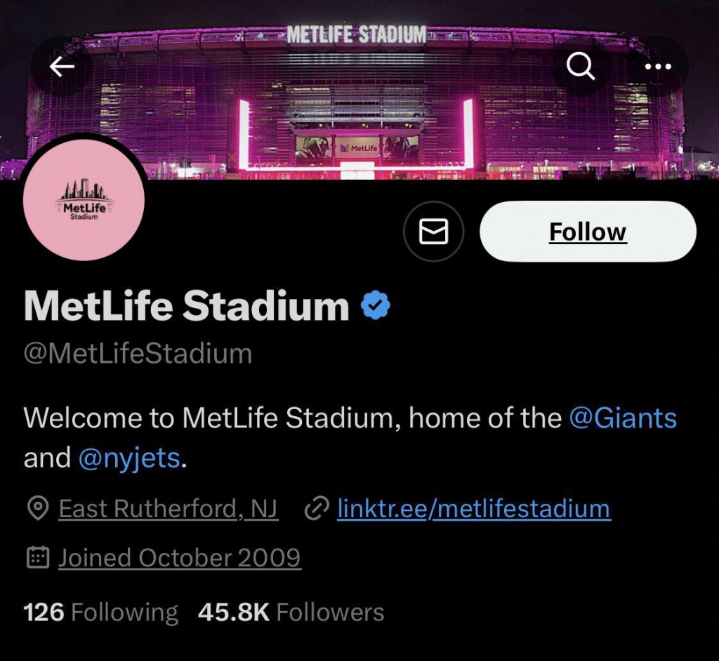 Metlife Stadium (New Jersey) với sức chứa 82,500 chỗ ngồi