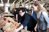 Thành Long tuyên bố quyên tặng bộ sưu tập cổ vật cho Trung Quốc