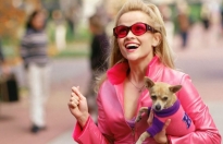 Nhờ thời trang đặc biệt này, 'Legally Blonde' trở thành 'di sản' khiến nhiều sao Hollywood bắt chước