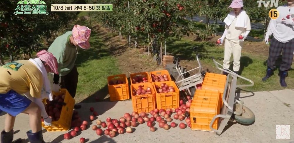 Show 'Mountain village' của hội bác sĩ F5 'Hospital Playlist' tung trailer hơn 6 phút, hài hước hơn cả trong phim