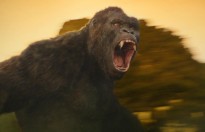 Kong: Skull Island - Hoá ra Việt Nam lại là nơi khai sinh ra nhiều quái vật Hollywood đến thế